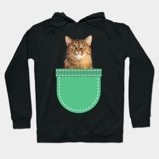 Grey Tabby Cat in Pocket Hoodie